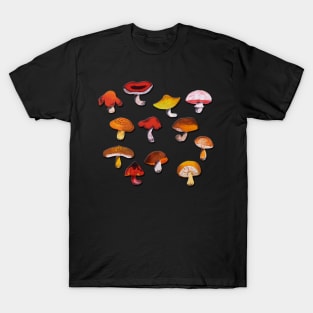 Mushrooms T-Shirt